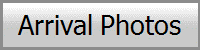Arrival Photos